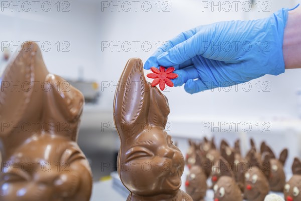 A hand with a blue glove attaches a red flower to a chocolate bunny, Easter baking and chocolate icing at Haselstaller Hof, Gechingen, Black Forest, Germany
