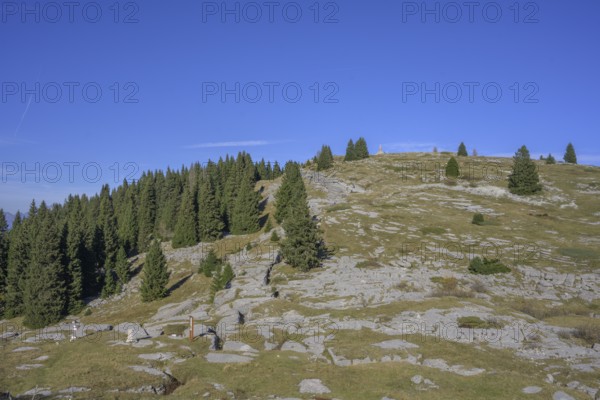 Trenches in karst rock from the First World War, circular hike Monte Fior, Foza, province of Vicenza, Italy