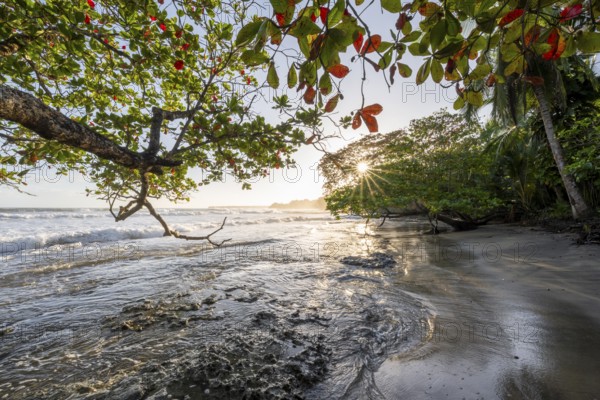 Sea and Caribbean sandy beach with tropical trees at sunrise, sun star, Caribbean coast, Playa Negra, Cahuita, Limón province, Costa Rica