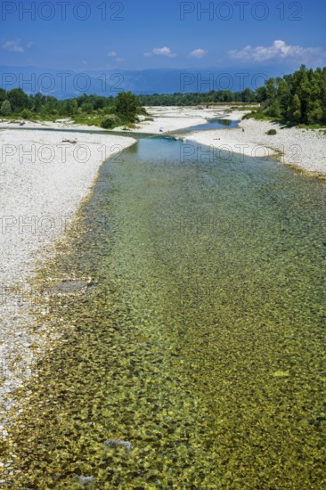 River Brenta near Tezze sul Brenta, Veneto, Italy