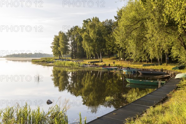 Rowing boats moored at the old lido of the Quitzdorf dam, Upper Lusatia, Saxony, Germany