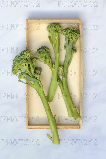 Bimi, broccolini, asparagus-broccoli in boxes