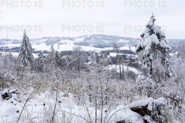 View from Czorneboh to Cunewalde in winter, in the background the Bieleboh, Upper Lusatia, Saxony, Germany