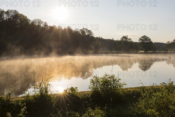 Morning atmosphere with light fog, Horkaer Teich, Bischofswerda, Saxony, Germany