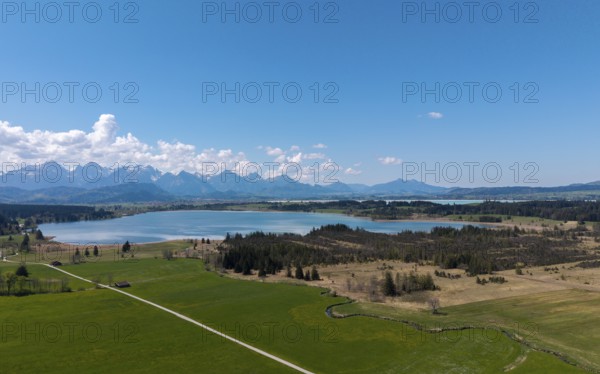 View of the Bannwaldsee in front of a mountain backdrop with green meadows and a clear blue sky, Alps, near Buching and Füssen, Ostallgäu, Allgäu, Bavaria, Germany
