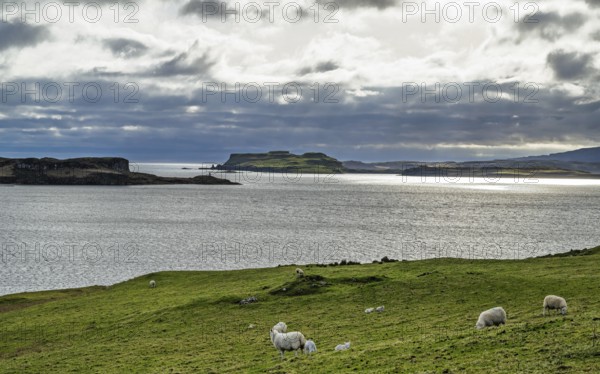 Farms over Loch Harport, Drynoch, Isle of Skye, Scotland, UK