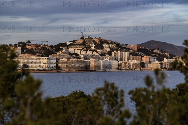 View of hotels, apartment hotels, Santa Ponça, Calvià, evening mood, Majorca, Balearic Islands, Balearic Islands, Spain