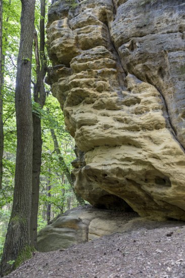 Bizarre rocks on the hiking trail to Kleiner Bärenstein, Saxon Switzerland, Saxony, Germany
