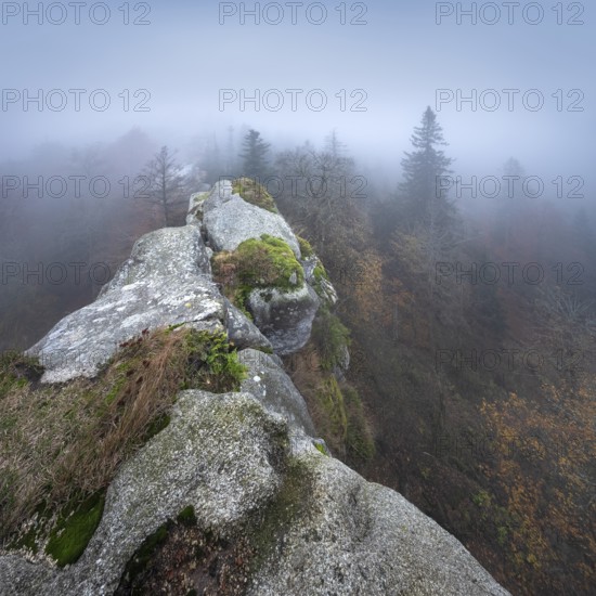 Großer Waldstein, view over rock formation and forest in autumn, dense fog, Fichtelgebirge, Upper Franconia, Franconia, Bavaria, Germany