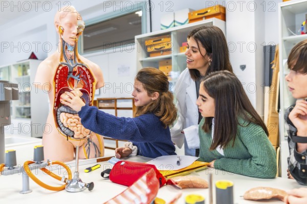 Elementary school students learning human body anatomy with teacher and anatomical model during biology class