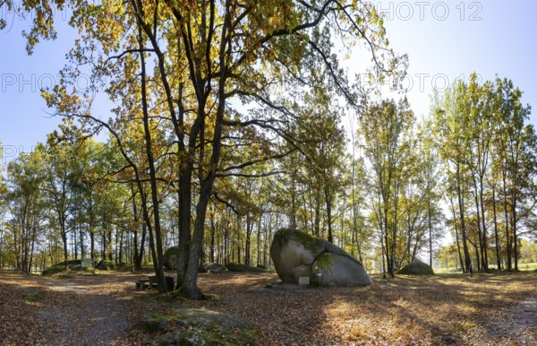 Granite rock Teufels Bettstatt, natural monument, Blockheide nature park Park near Gmünd, Waldviertel, Lower Austria, Austria