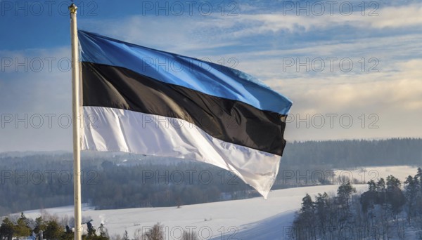 The flag of Estonia flutters in the wind