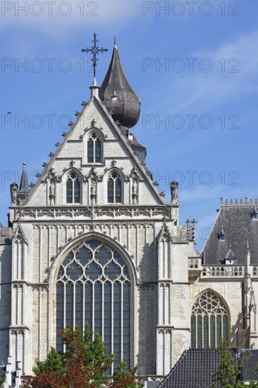 Cathedral of Our Lady, Onze-Lieve-Vrouwekathedraal, nave, side view via side entrance, Gothic, UNESCO World Heritage Site, Antwerp, Belgium