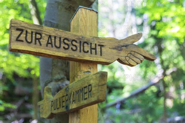 Wooden hiking sign points the way to the view or to the powder magazine, at the Zschirnstein, Reinhardtsdorf-Schöna, Saxon Switzerland, Saxony, Germany