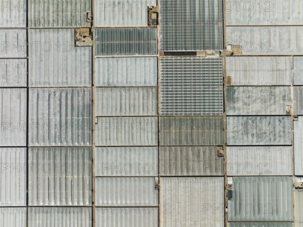 Masses of shimmering plastic greenhouses near El Ejido, aerial view, drone shot, Almería province, Andalusia, Spain