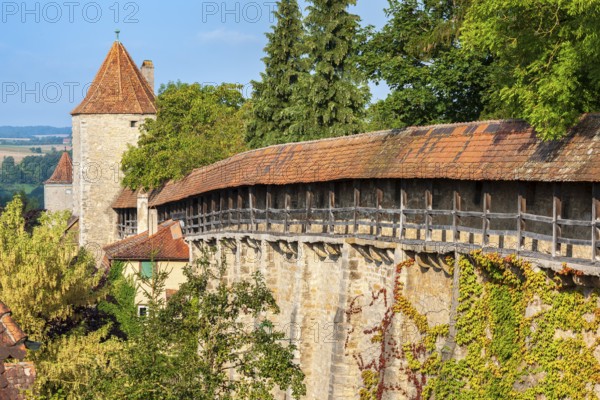 Walkway of the town wall with vine leaves and defence towers in the historic old town, Rothenburg ob der Tauber, Franconia, Bavaria, Germany