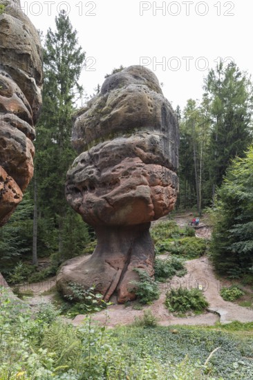 Natural monument Kelchsteine with mushroom rock Kelchstein near Oybin, Zittau Mountains, Saxony, Germany