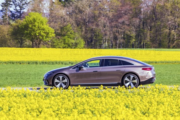 Country road with Mercedes EQS electric car on the Swabian Alb with a field of rapeseed in bloom. Erkenbrechtsweiler, Baden-Württemberg, Germany