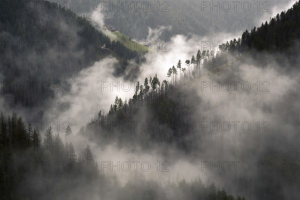 View of the mountain forests with rising clouds, Bolzano, Trentino, South Tyrol, Italy