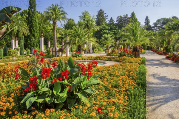Palm garden in the historic spa gardens, the largest outdoor palm garden north of the Alps, Bad Pyrmont, Emmertal, Weserbergland, Oranierroute, Lower Saxony, Germany
