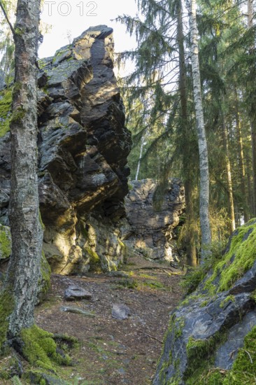 Schwarzer Stein rock formation with Versteinerter Mönch rock formation east of Grünbach in Vogtland, Saxony, Germany