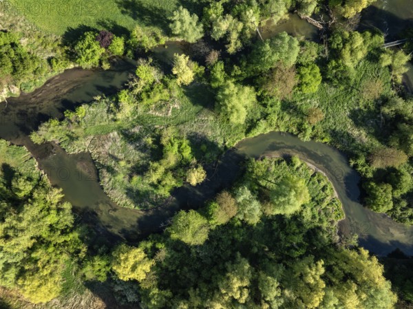 Aerial photograph, top down view of the Radolfzeller Aachried with the Radolfzeller Aach, Radolfzell am Lake Constance, Landkreis Konstanz, Baden-Württemberg, Germany