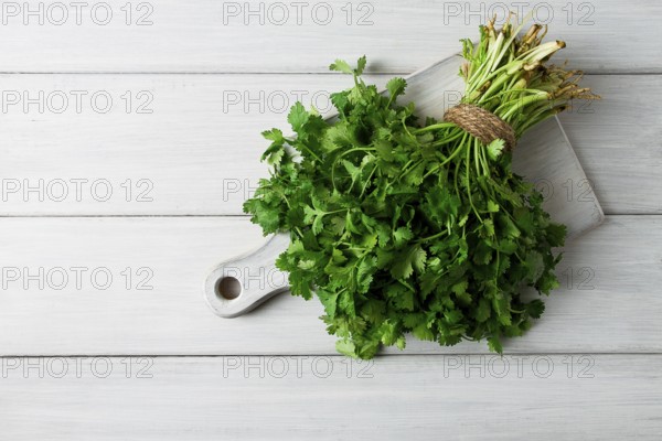 Bunch of fresh Cilantro, on a white wooden table, close-up, top view, no people