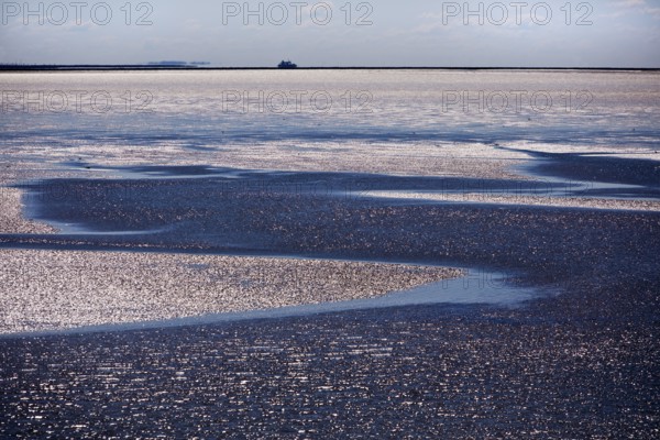 Schleswig-Holstein Wadden Sea National Park on the crossing from Föhr to Dagebüll at low tide, North Frisia, Germany