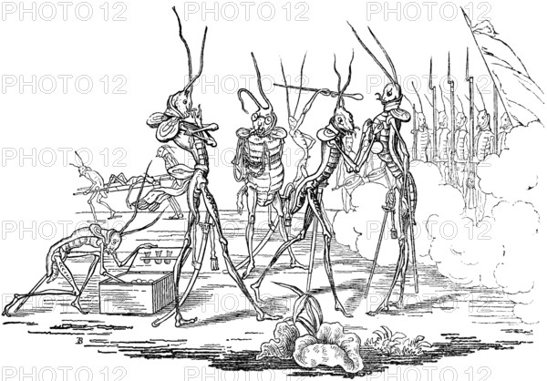 Grasshopper is decorated with a medal, soldiers stand at gunpoint, parable about human life, depicted in caricatures of the grasshopper, parody, literary narrative in pictures with morals, mockery and derision, woodcut illustration, Swiss calendar for 1848