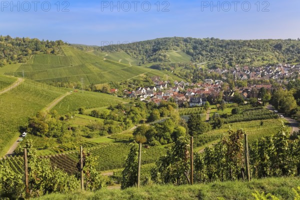 View from Rotenberg, view towards Stetten, vineyards, landscape, Zum Württemberg, near the grave chapel, Rotenberg district, Stuttgart, Baden-Württemberg, Germany