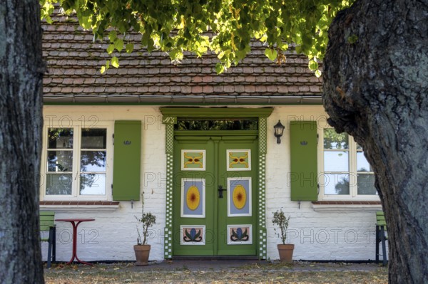 Colourful decorated front door in Bliesenrade at Wieck am Darß, holiday resort on the Darß peninsula in Mecklenburg-Western Pomerania, Germany