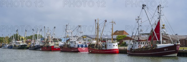 Fishing boats in the fishing harbour, Büsum, North Sea, Schleswig-Holstein, Germany