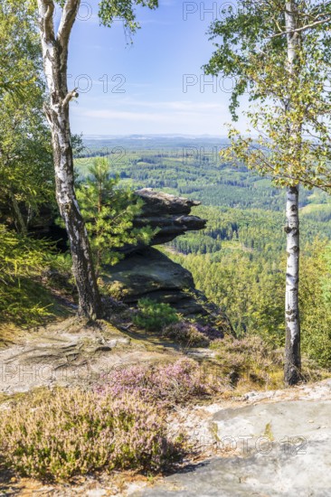 On the Großer Zschirnstein, Reinhardtsdorf-Schöna, Saxon Switzerland, Saxony, Germany