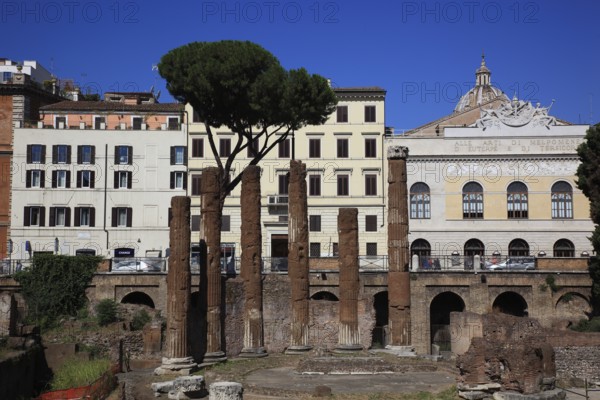 Largo di Torre Argentina, a square in the Pigna neighbourhood of Rome on the ancient Campus Martius, Italy