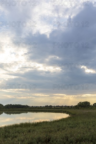 Lake Varchentin, evening mood on the shore, Mecklenburg Lake District, Mecklenburg-Western Pomerania, Germany