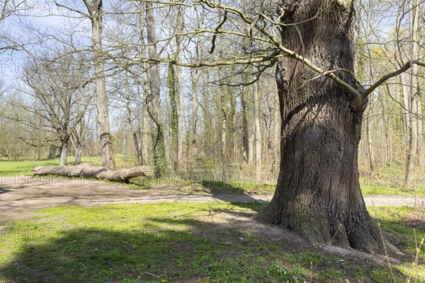 In Lützschena Castle Park, Leipzig, Saxony, Germany