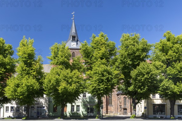 North side of the market square with the town church of St Peter and Paul, Delitzsch, Saxony, Germany