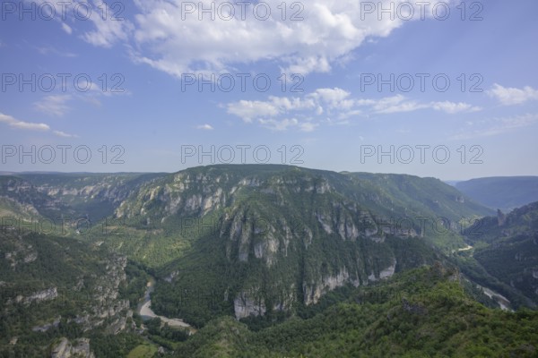 View from Point Sublime into the Tarn Gorge, Massegros Causses Gorges, Département Lozère, France