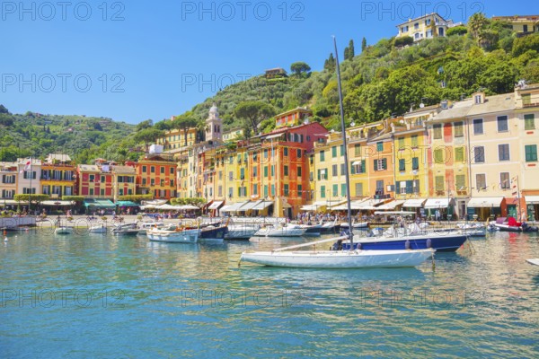 Portofino marina, Portofino, Liguria, Italy