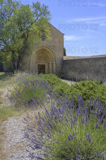Lavender field in front of Notre Dame de Ganagobie Abbey with main portal on the west façade Ganagobie, Alpes-de-Haute-Provence, France