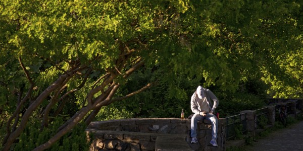 Young man sitting in the sun and engrossed in his mobile phone in the greenery under trees on the viewing platform Auf dem Stintfang, St. Pauli, Hamburg, Germany