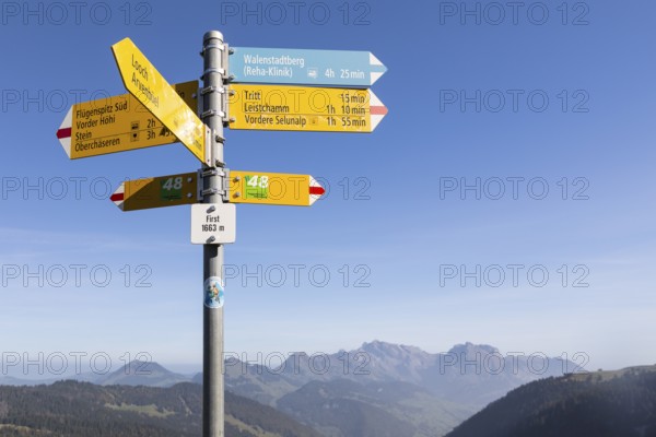 Signpost on the First (1663m) with hiking trails of various categories, hiking trail, mountain hiking trail and alpine hiking trail, here to Leistchamm or Flügenspitz, in the background the Säntis, Amden, St. Gallen, Switzerland