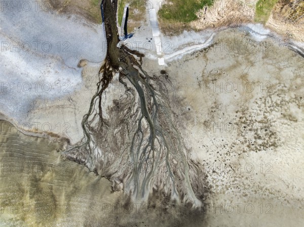 Aerial photograph, top down view of the Mühlbach at low water, which flows from the Mindelsee into Lake Constance in branched flow lines, Markelfingen, Radolfzell am Lake Constance, Landkreis Konstanz, Baden-Württemberg, Germany