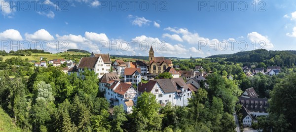 Aerial view, panorama, view of flower field, district of the southern Baden town of Tengen with flower field Castle and the parish church of St Michael, Hegau, district of Constance, Baden-Württemberg, Germany