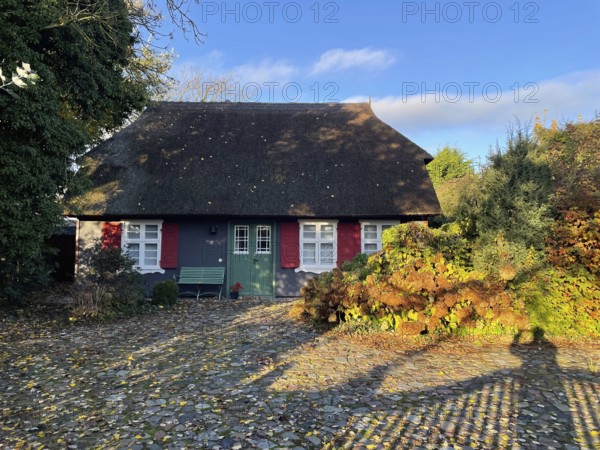 Künstlerdorf and Baltic resort Ahrenshoop, architecture, tradition, houses with thatched roofs, reed roofs, idyllic, Darss-Zingster Boddenkette, Baltic Sea, peninsula, nature, autumn, nature reserve, Fischland-Darss-Zingst, Mecklenburg-Western Pomerania, Germany