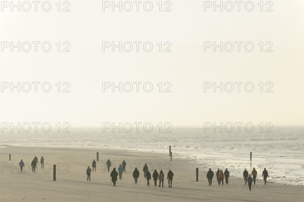 Sports group Nordic walking on the beach, North Sea, Norderney, East Frisian Islands, Lower Saxony, Germany