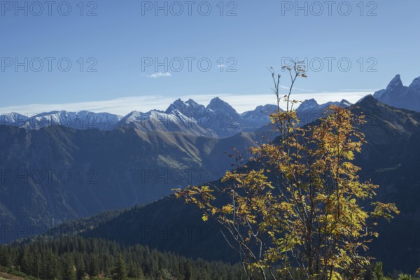 Autumn in the Allgäu, mountain panorama from Fellhorn 2037m, to Öfnerspitze, 2576m, Großer Krottenkopf, 2656m and Kratzer, 2427m, Hornbachkette, Allgäu Alps, Bavaria, Germany