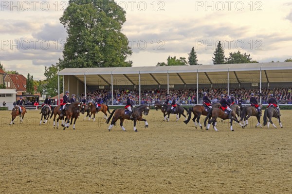 Warendorf State Stud, Stallion Parade, Jacobowski Quadrille