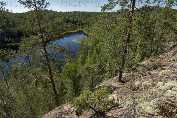 Lake in the forest, Isojärvi National Park, Finland