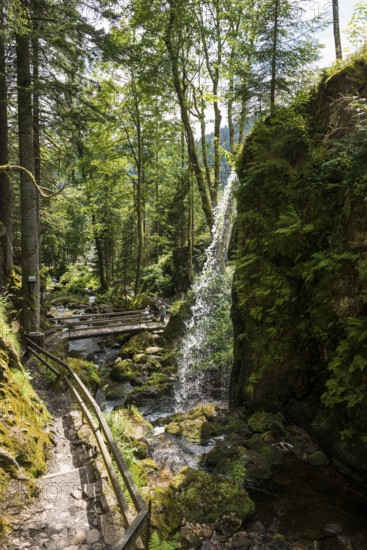 Waterfall, Menzenschwander Waterfalls, Menzenschwand, Southern Black Forest, Black Forest, Germany